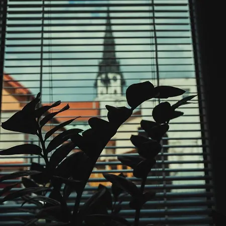 Apartment Urban Zenhouse