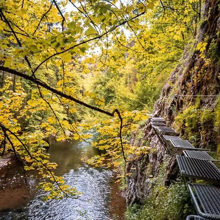 Apartment Urban Zenhouse